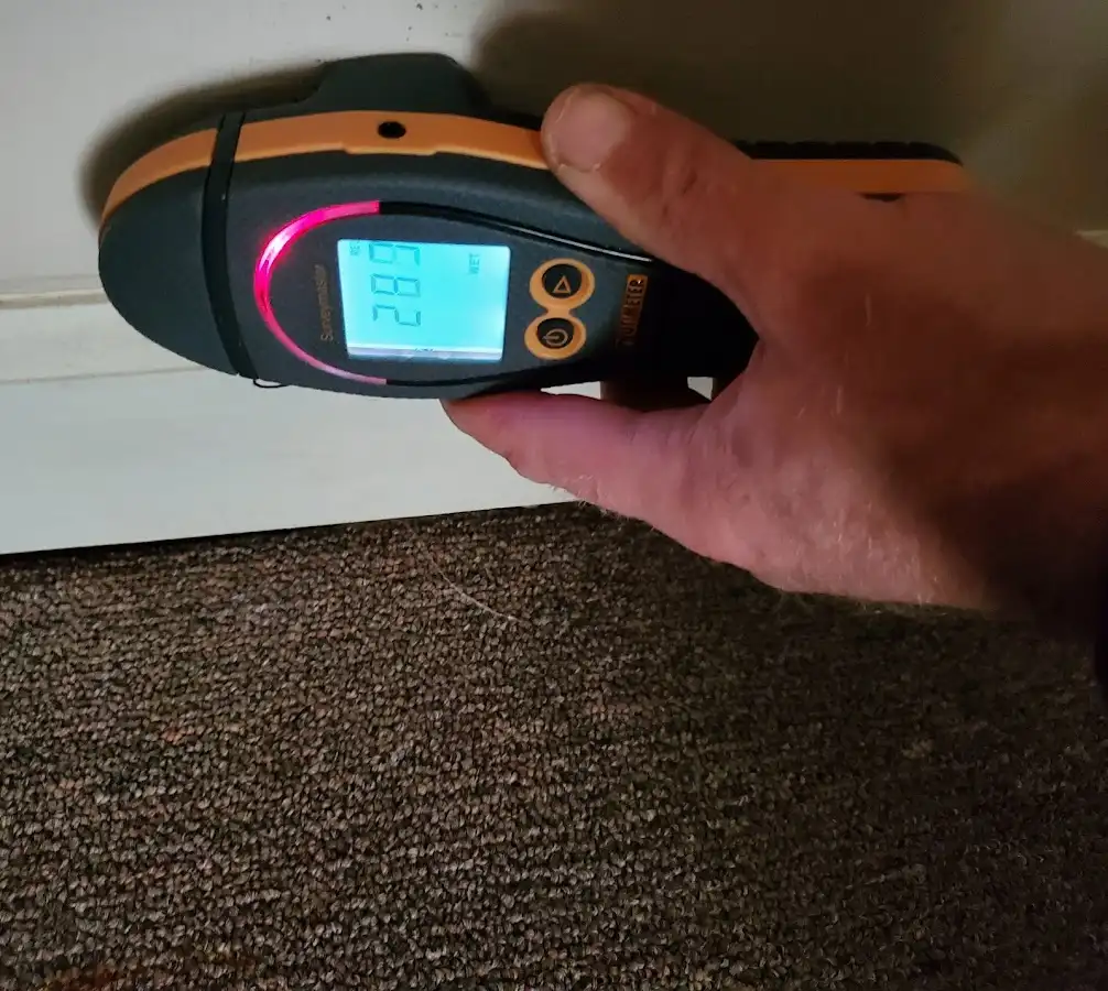 Moisture detection at baseboard during Sewage Cleanup & Sanitation in Five Corners